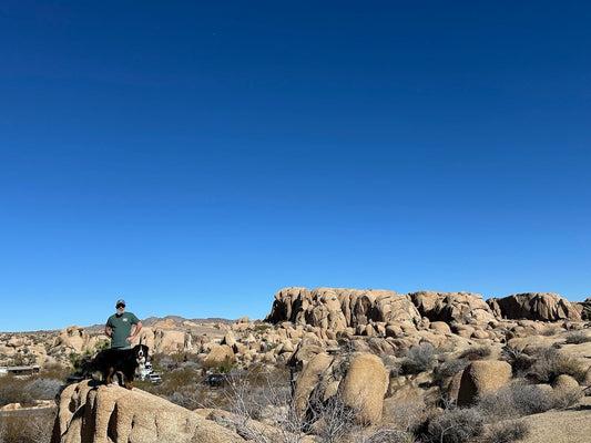 Trump vs National Parks