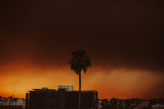 how global warming fueled the flames in LA wildfires