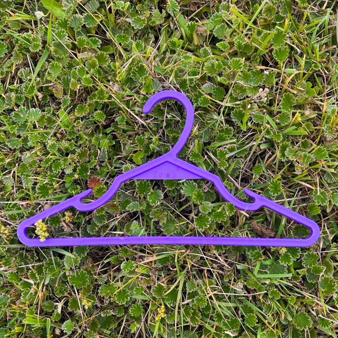 a purple ( r e ) ˣ sitting in the grass