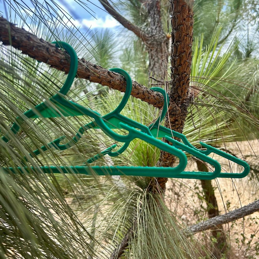 green ( r e ) ˣ hangers on a tree branch